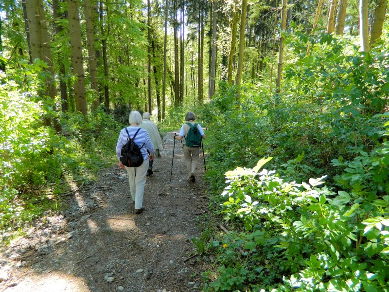 Grossschoenach__039.jpg