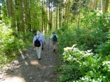 Grossschoenach__039.jpg