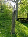 Grossschoenach__085.jpg