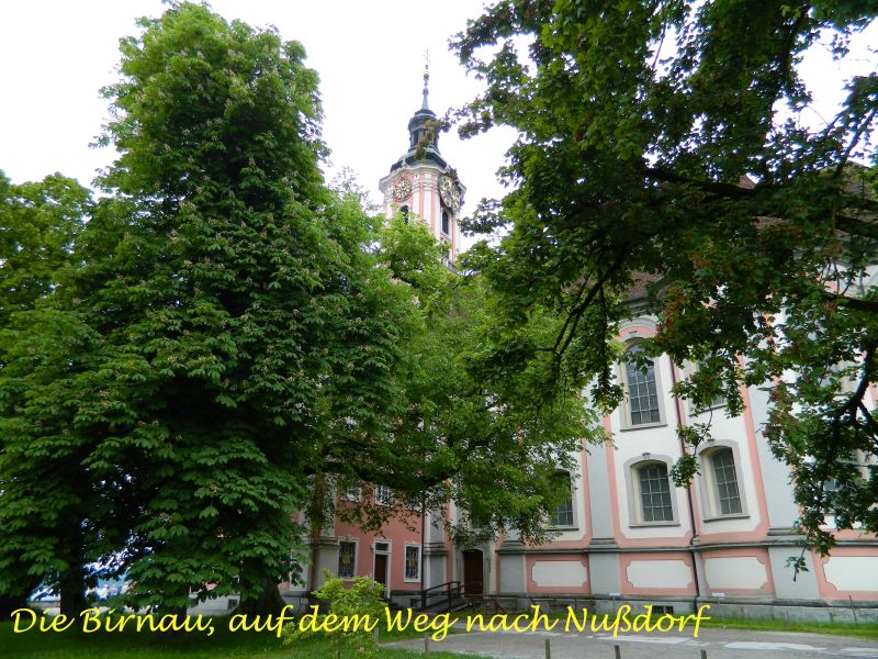 Maiandacht_Nussdorf_01.jpg