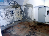 Haisterkirch_Maerz_2013_029.JPG