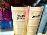 Haisterkirch_Maerz_2013_059.JPG