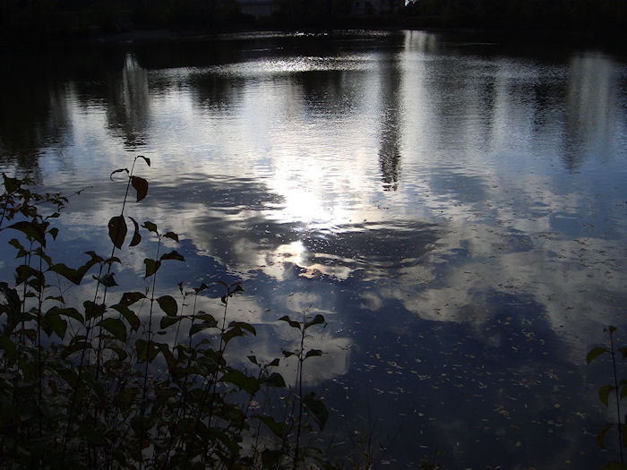 Kreuzberweiher06.JPG