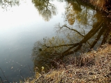 Kreuzberweiher01.JPG