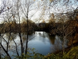 Kreuzberweiher02.JPG