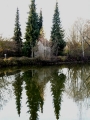Kreuzberweiher03.JPG