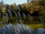 Kreuzberweiher04.JPG